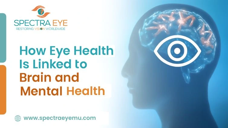 How To Safely Wear Contact Lenses Every Day